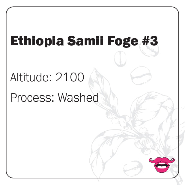 Ethiopia Samii Foge #3
